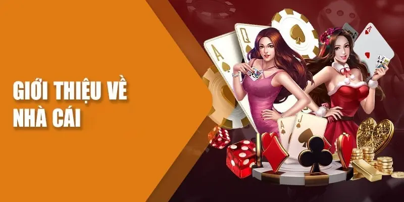 Đánh Giá 8KBET - Tìm Hiểu Chất Lượng Thực Sự Của Nhà Cái 1 Đánh giá 8KBET rất tích cực từ khách hàng